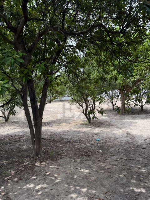 Terreno en Venta en Cadereyta Jiménez Centro