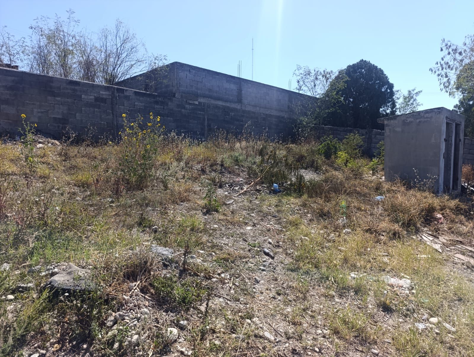 Terreno en Venta en Ciénega de Flores Centro