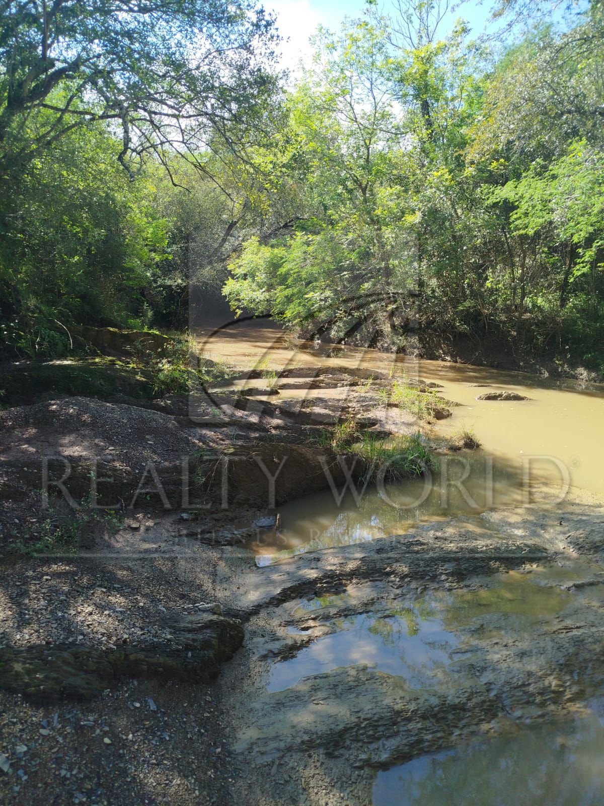 Terreno en Venta en Sin Colonia