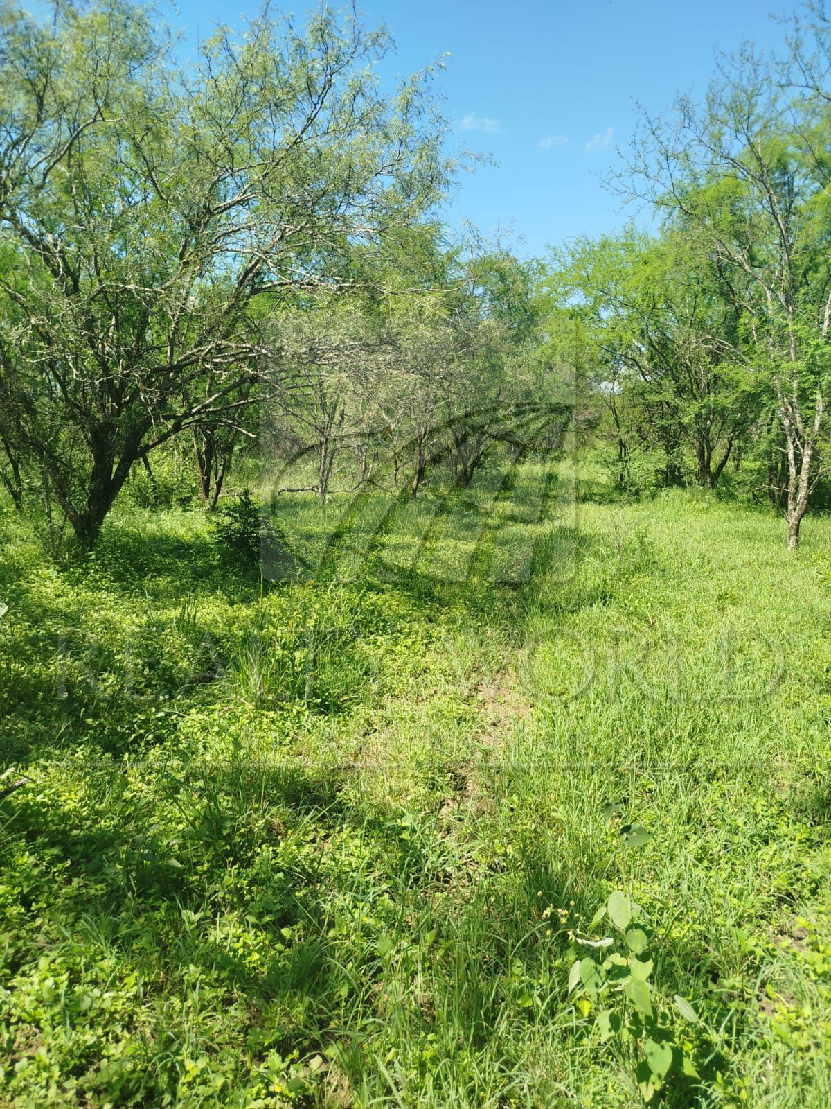 Terreno en Venta en Sin Colonia