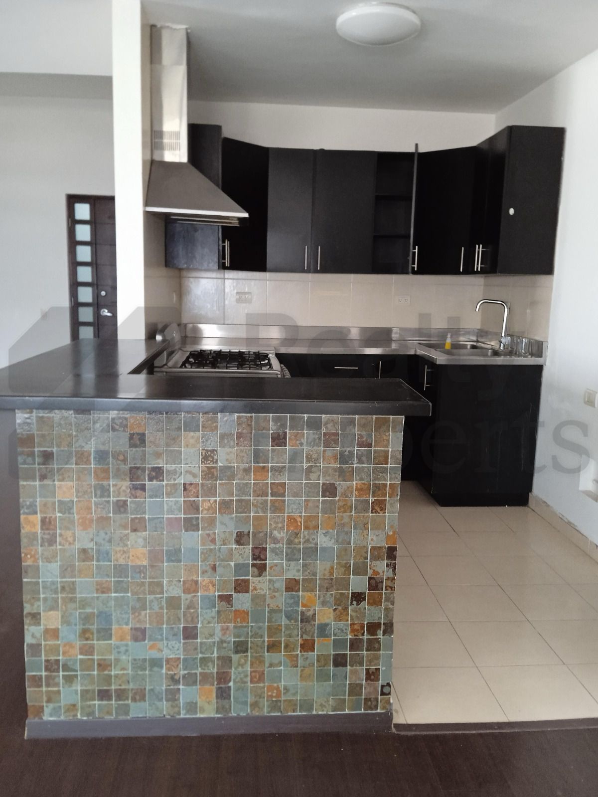 Departamento en Renta en Del Paseo Residencial