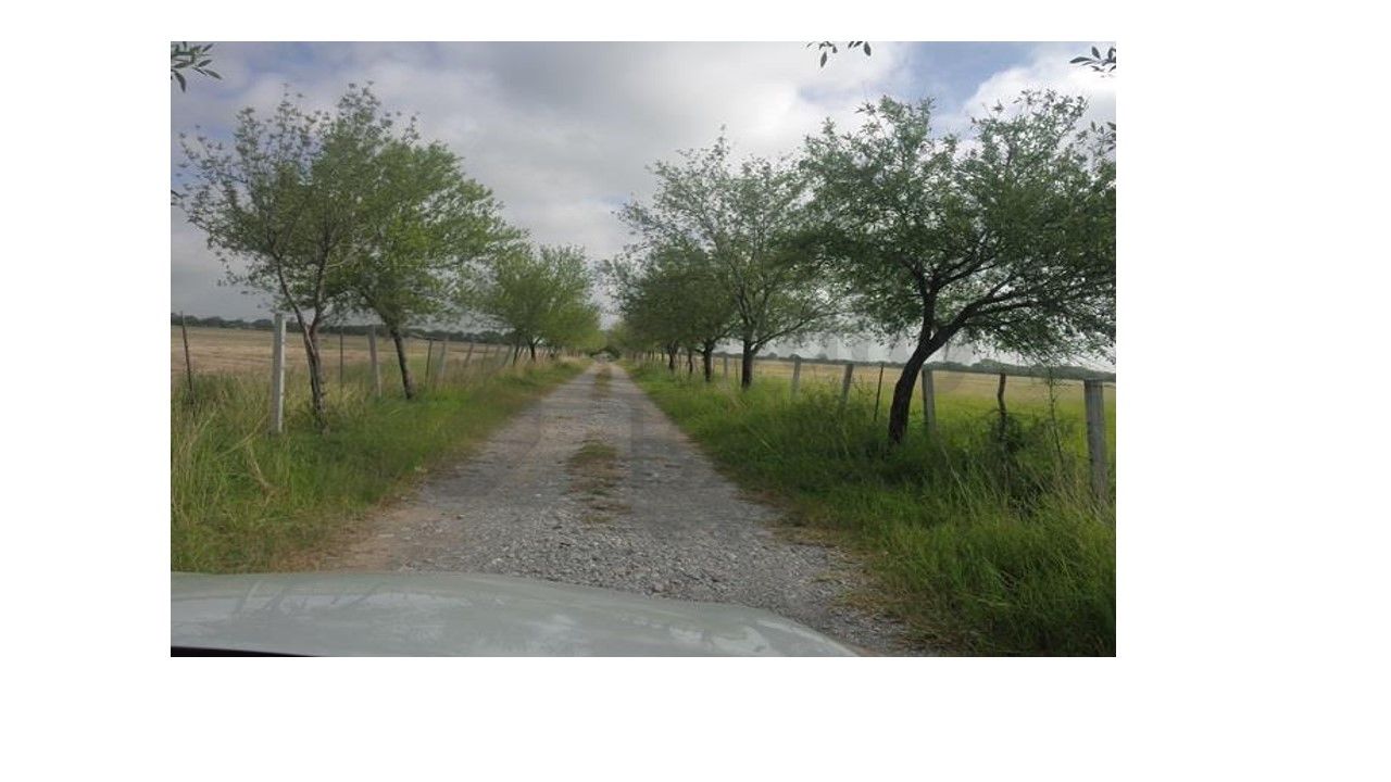 Terreno en Venta en Linares