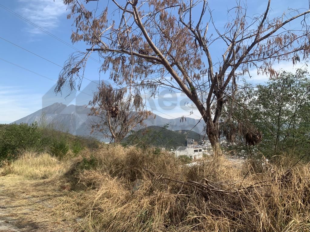 Terreno en Venta en Jardines de Valle Alto