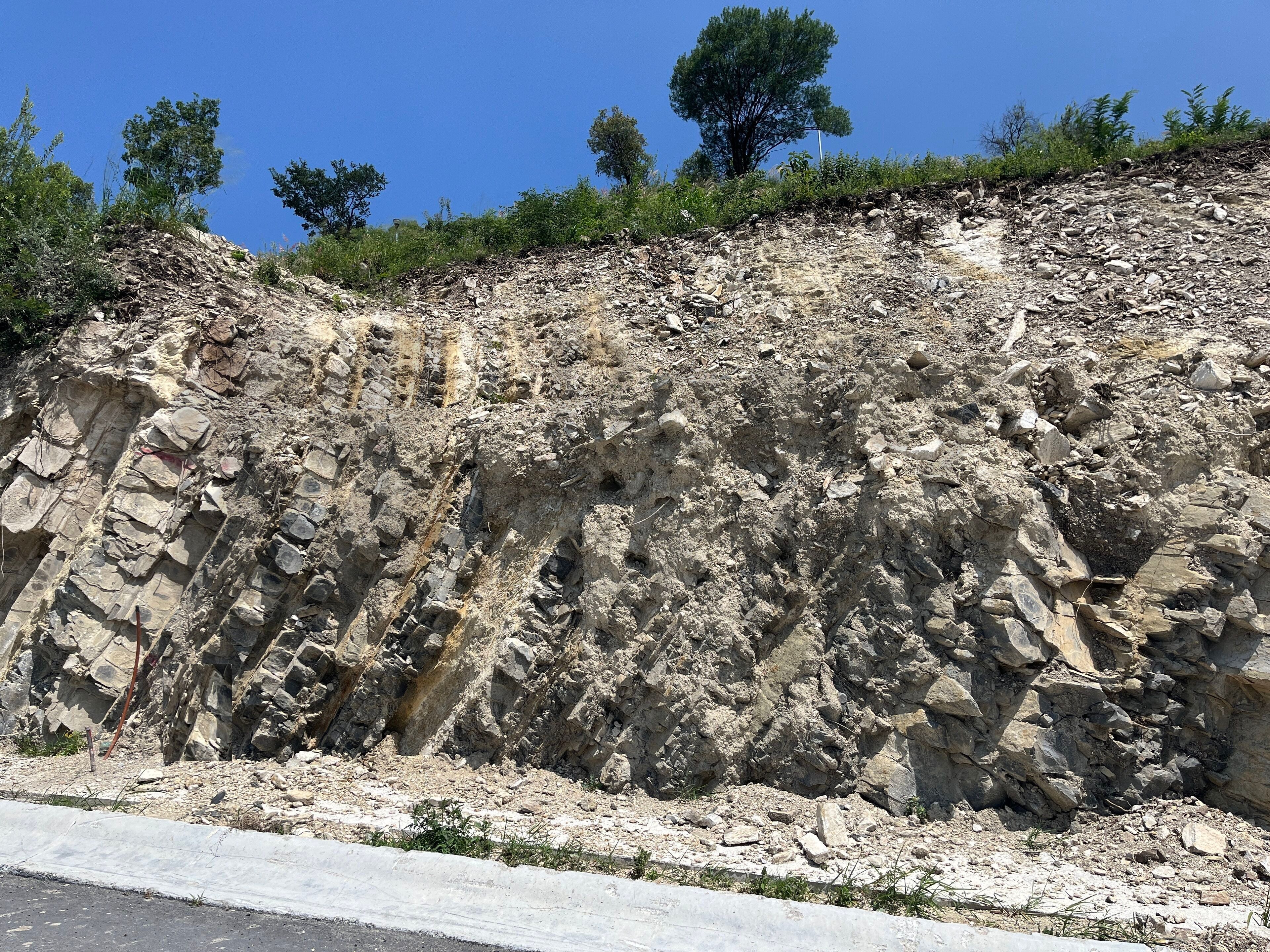 Terreno en Venta en Contry Los Encinos
