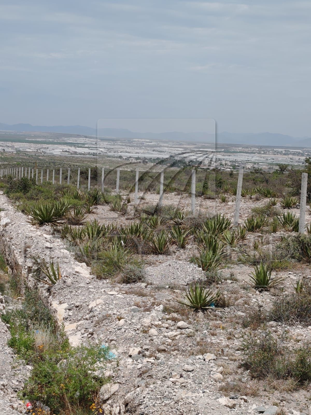 Terreno en Venta en Sin Colonia