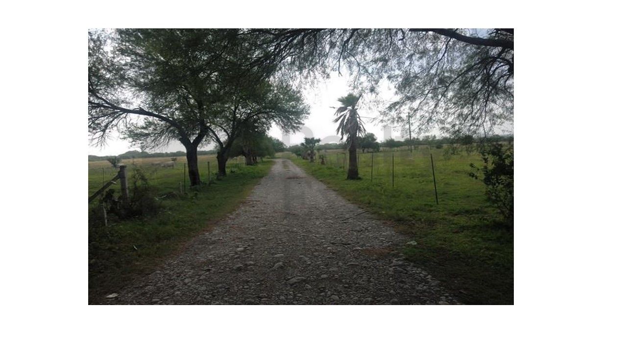 Terreno en Venta en Linares