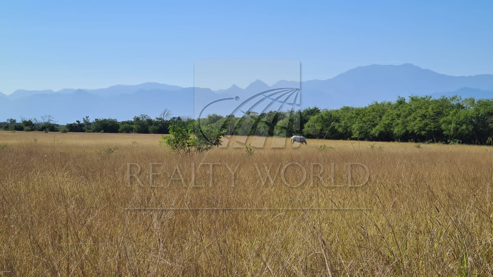 Terreno en Venta en Cadereyta Jiménez Centro