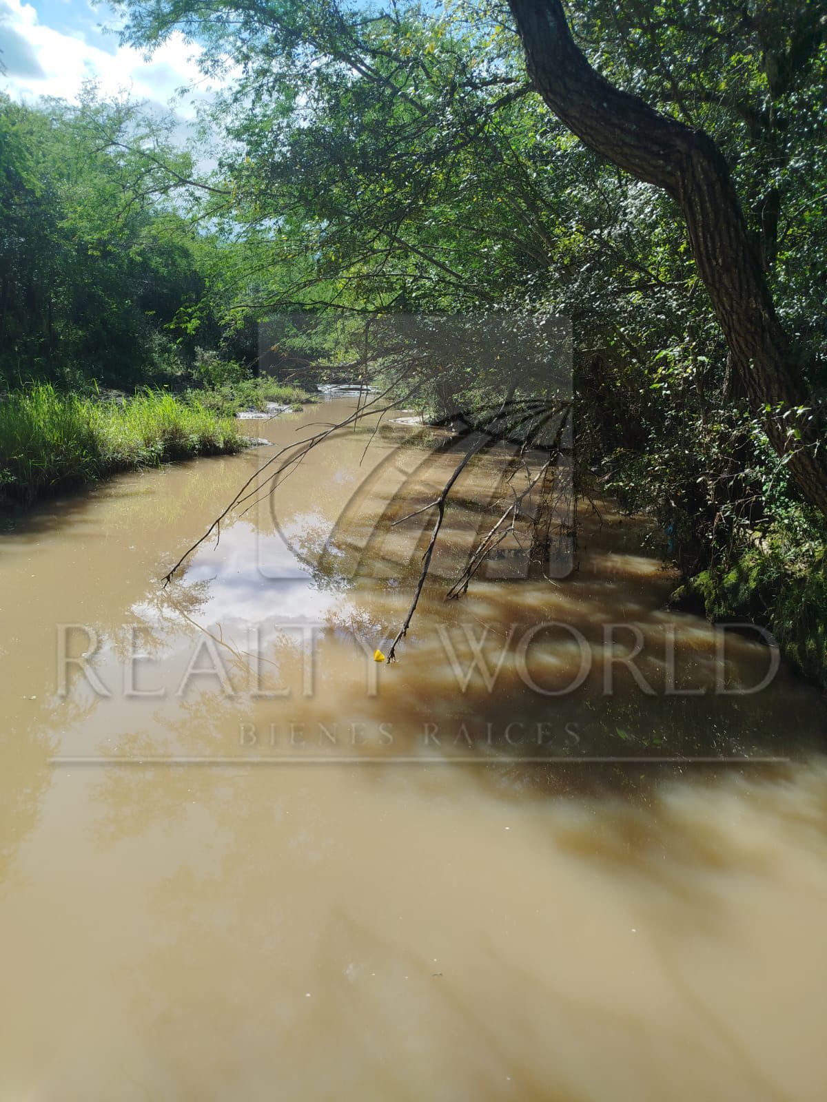Terreno en Venta en Sin Colonia