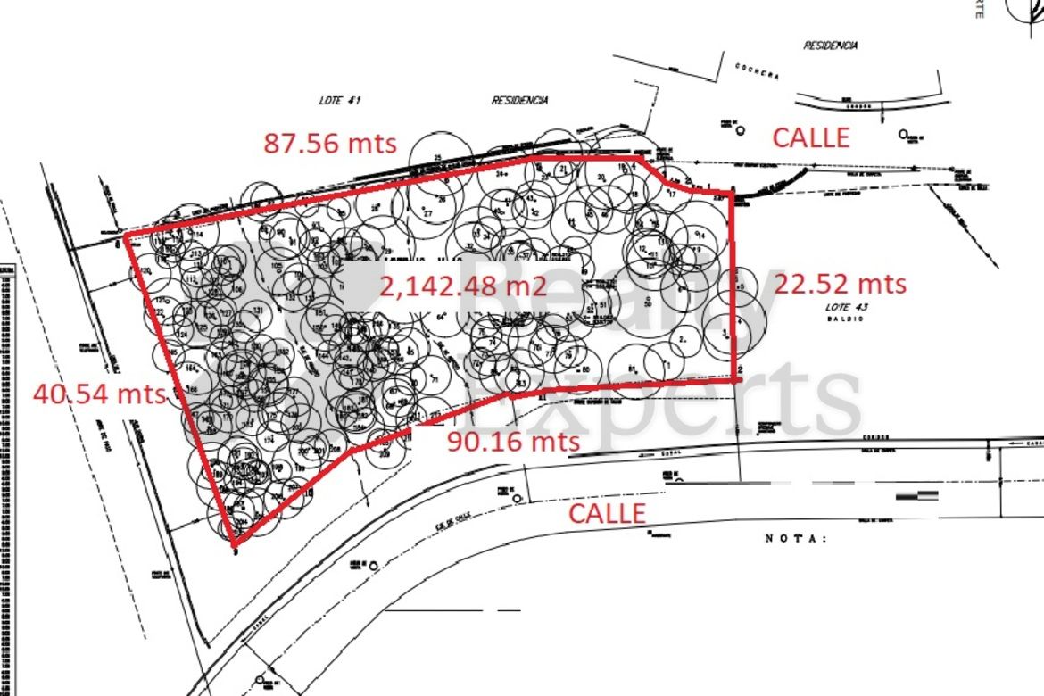 Terreno en Venta en Bosques de San Ángel Sector Palmillas