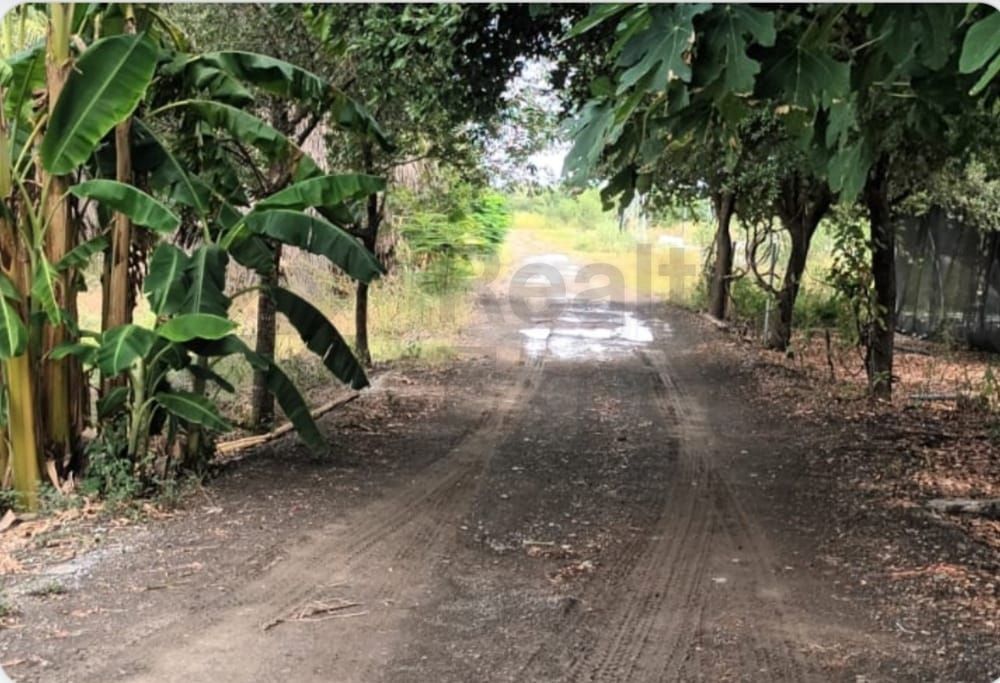 Rancho en Venta en Hacienda Santa Fe