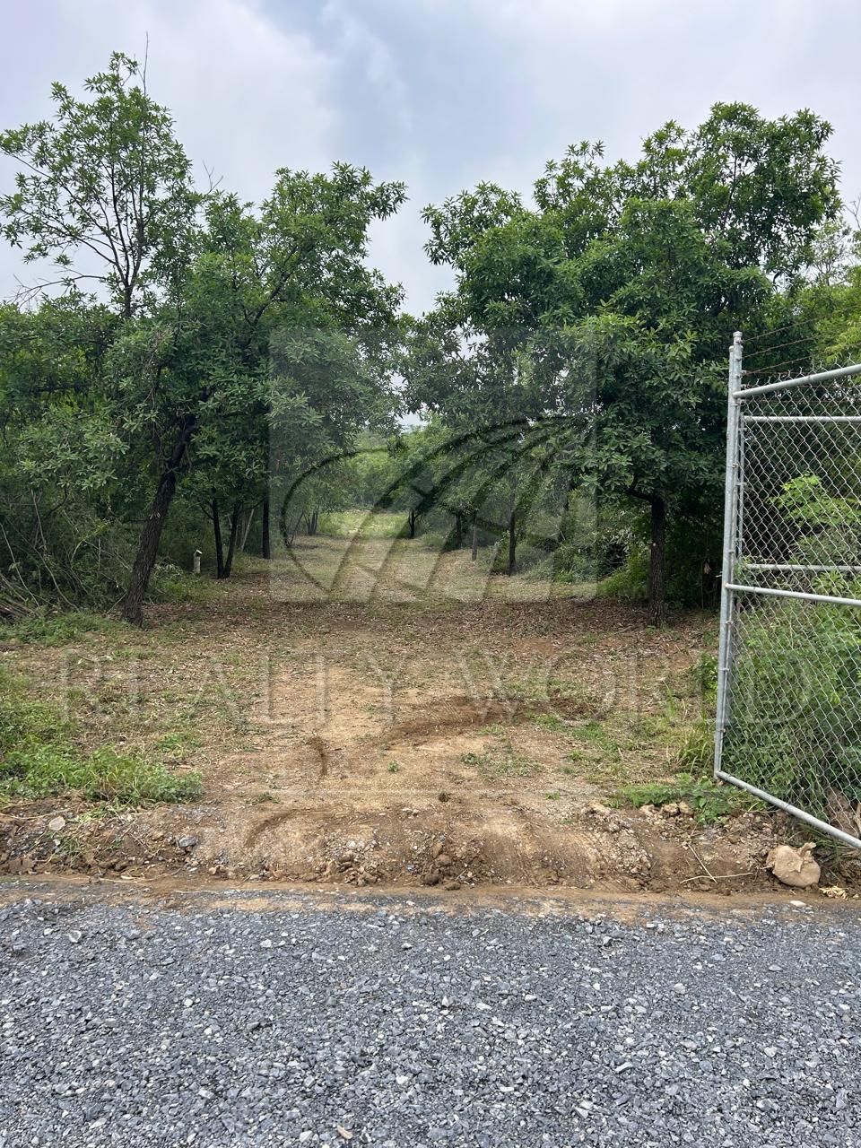 Terreno en Venta en Los Laureles