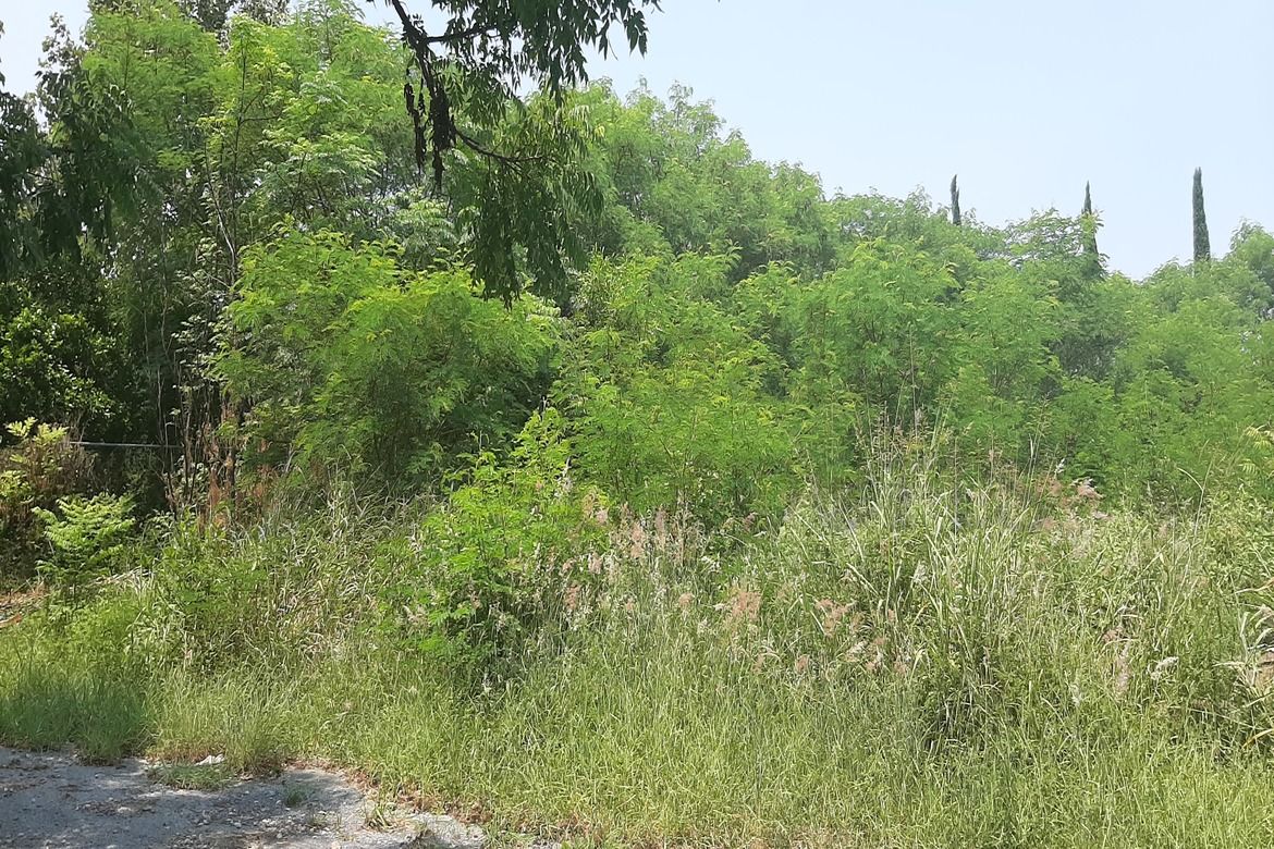 Terreno en Venta en Cadereyta Jiménez Centro