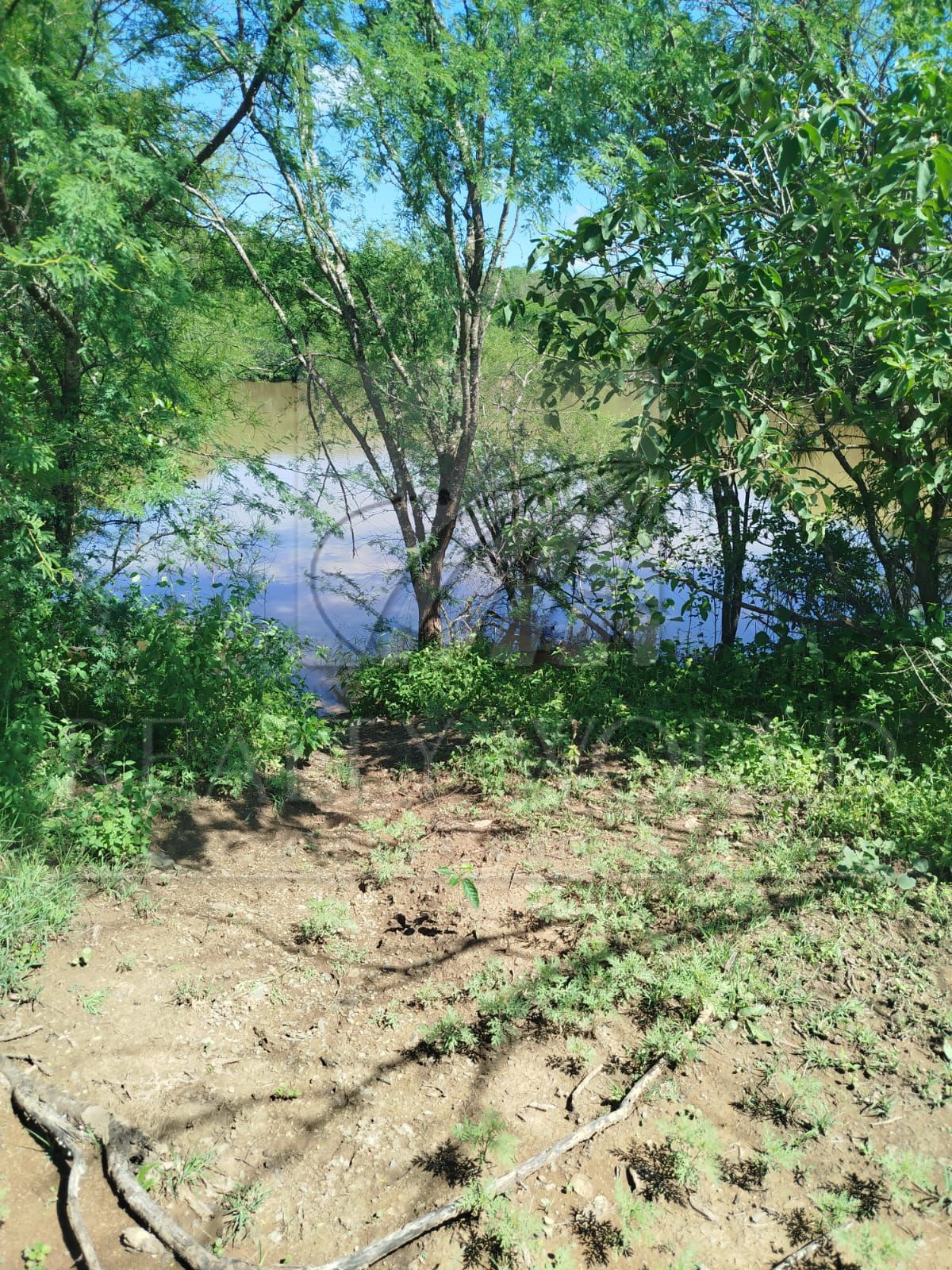 Terreno en Venta en Sin Colonia