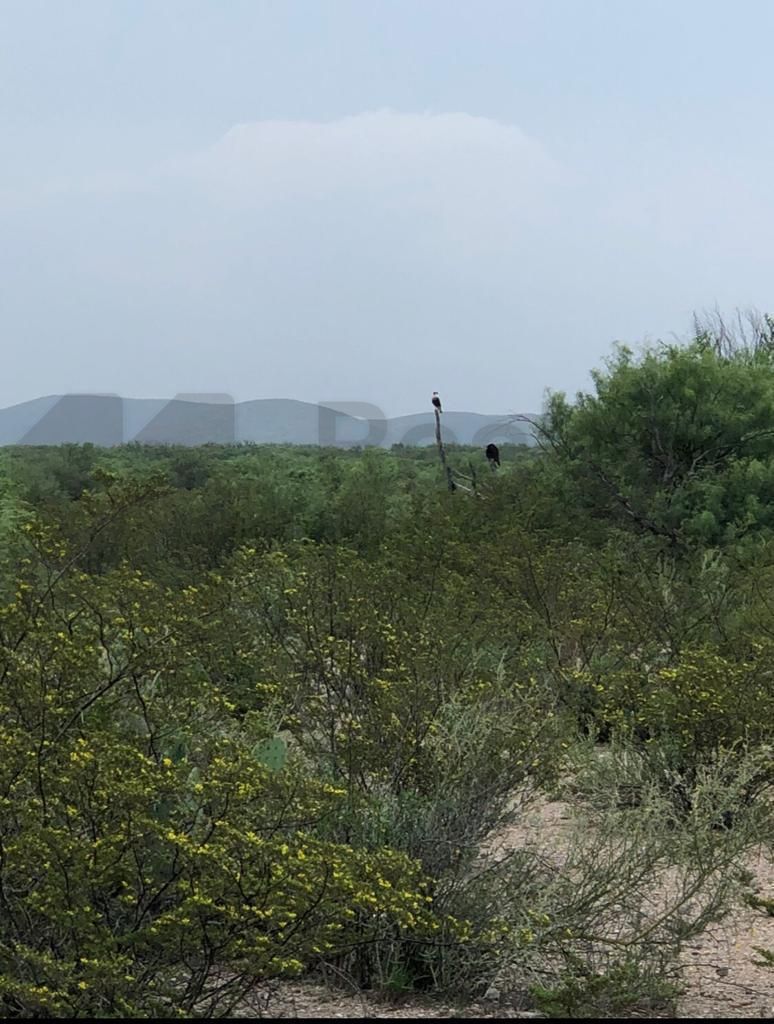 Rancho en Venta en Don Martín