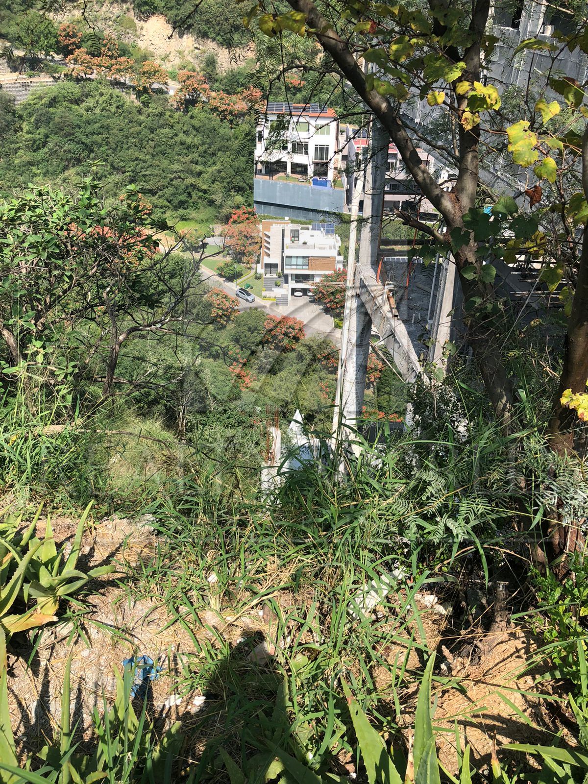 Terreno en Venta en Renacimiento