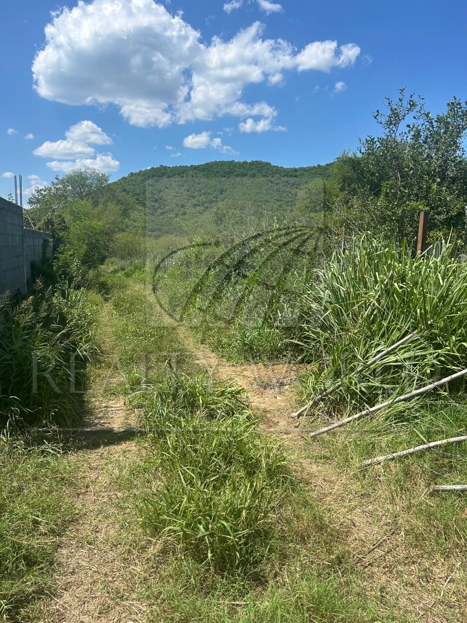 Terreno en Venta en Valle Hidalgo (La Cotorra)