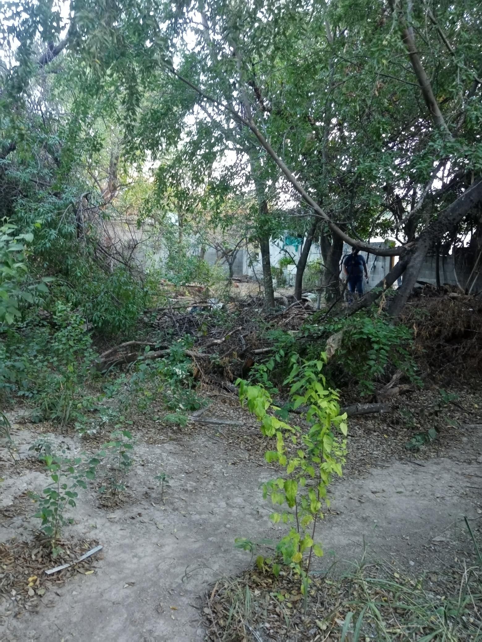 Terreno en Venta en San Nicolás de los Garza Centro