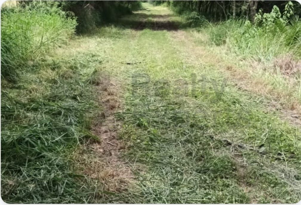 Rancho en Venta en Hacienda Santa Fe