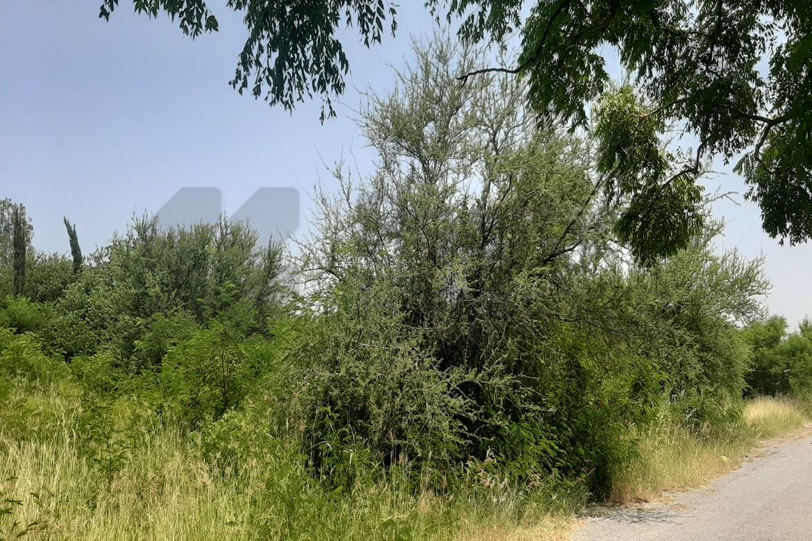 Terreno en Venta en Cadereyta Jiménez Centro