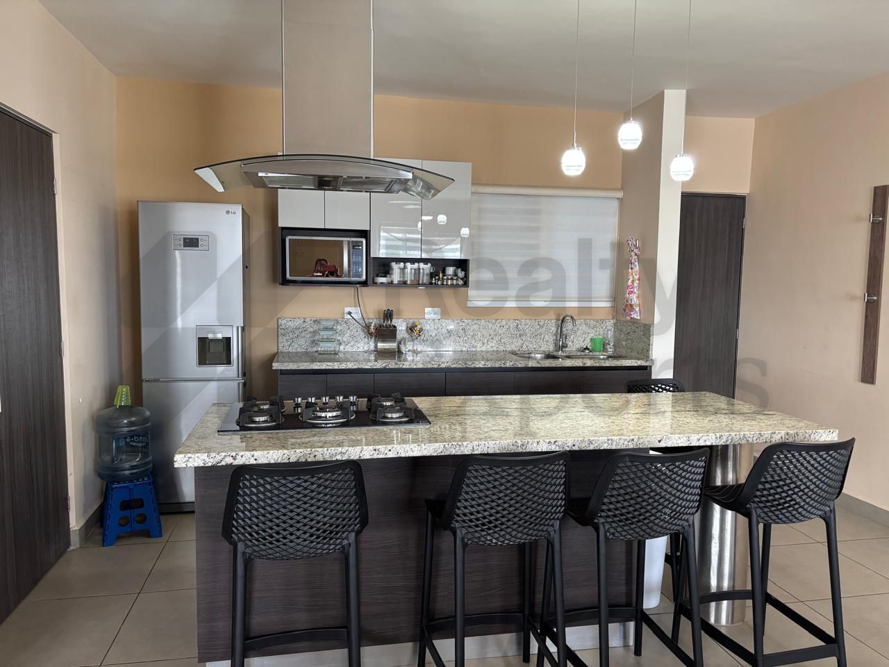 Departamento en Renta en Living San Nicolás