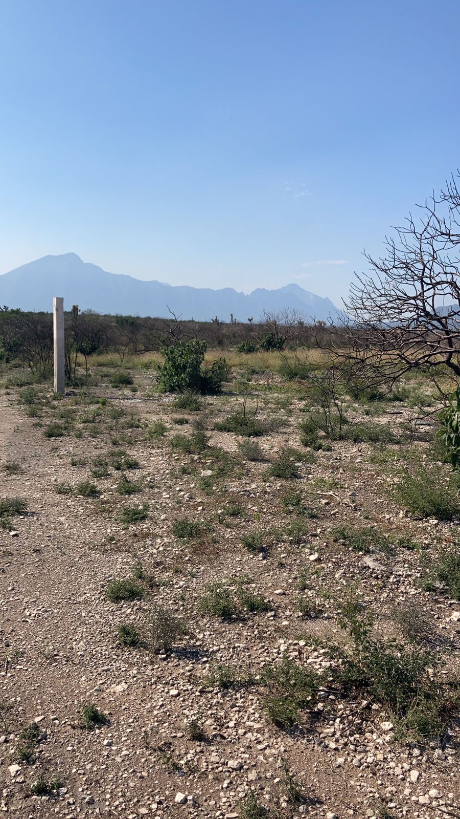 Terreno en Venta en Lázaro Cárdenas