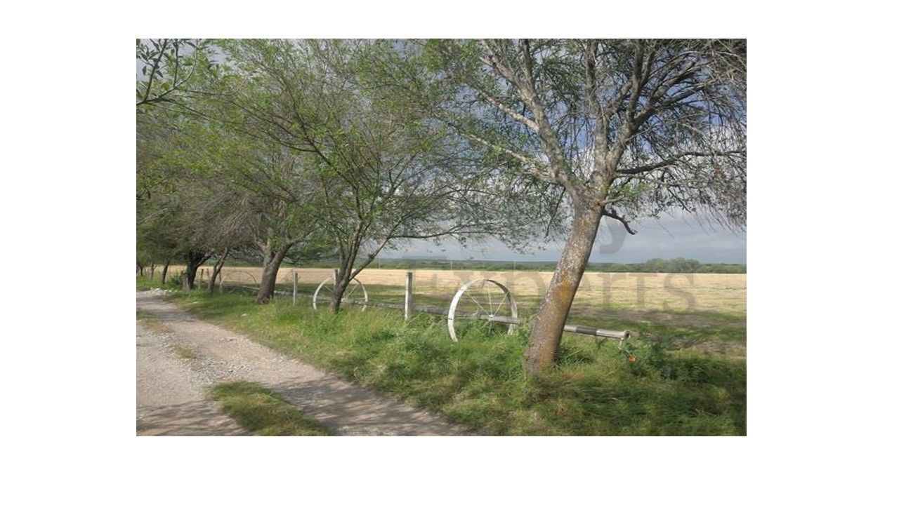Terreno en Venta en Linares