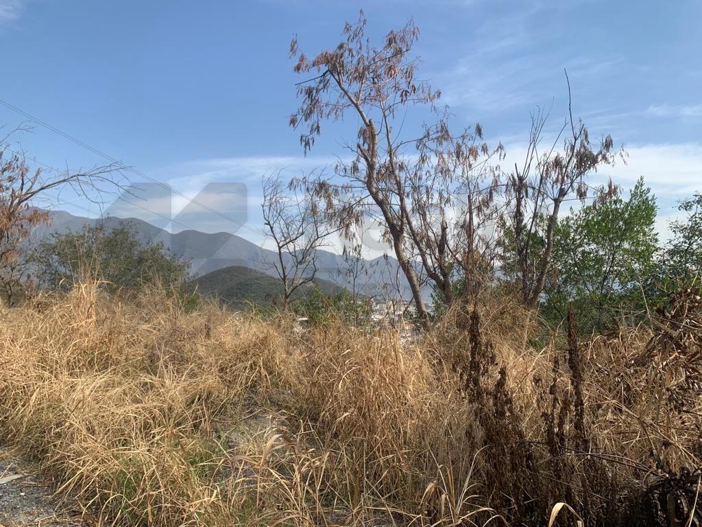 Terreno en Venta en Jardines de Valle Alto