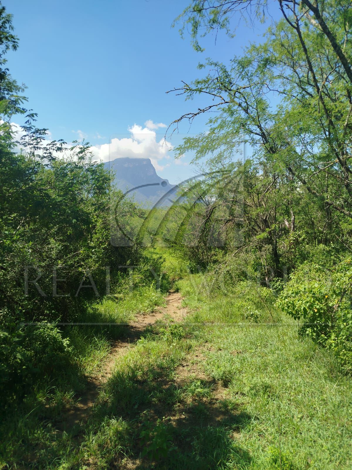 Terreno en Venta en Sin Colonia
