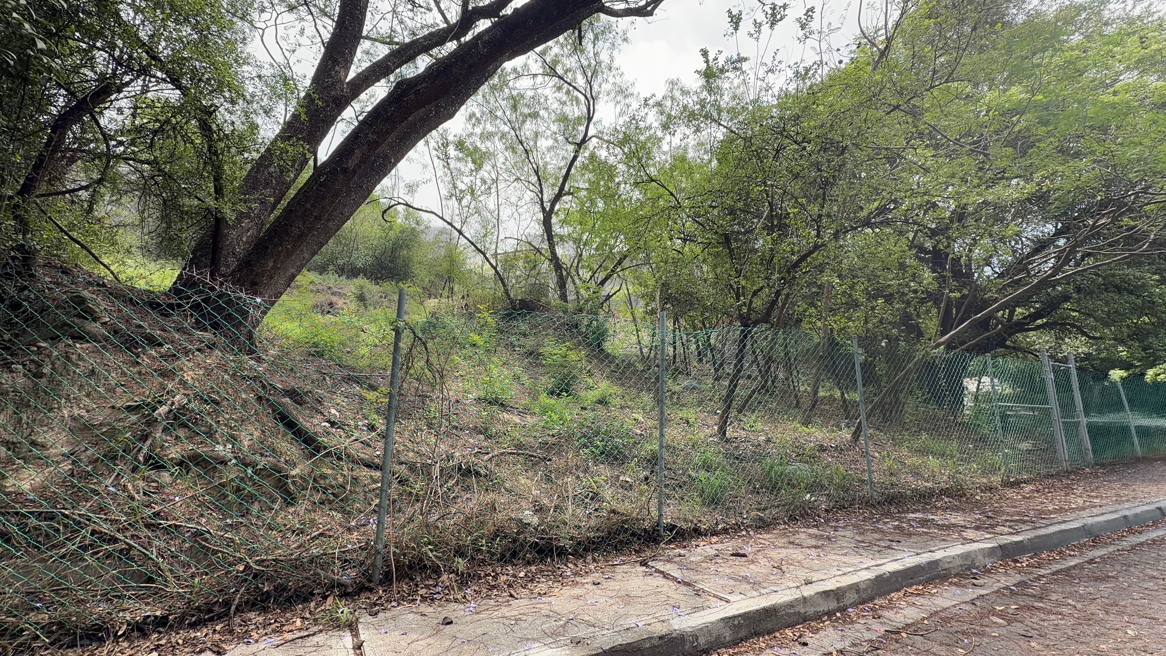 Terreno en Venta en Jardines Coloniales