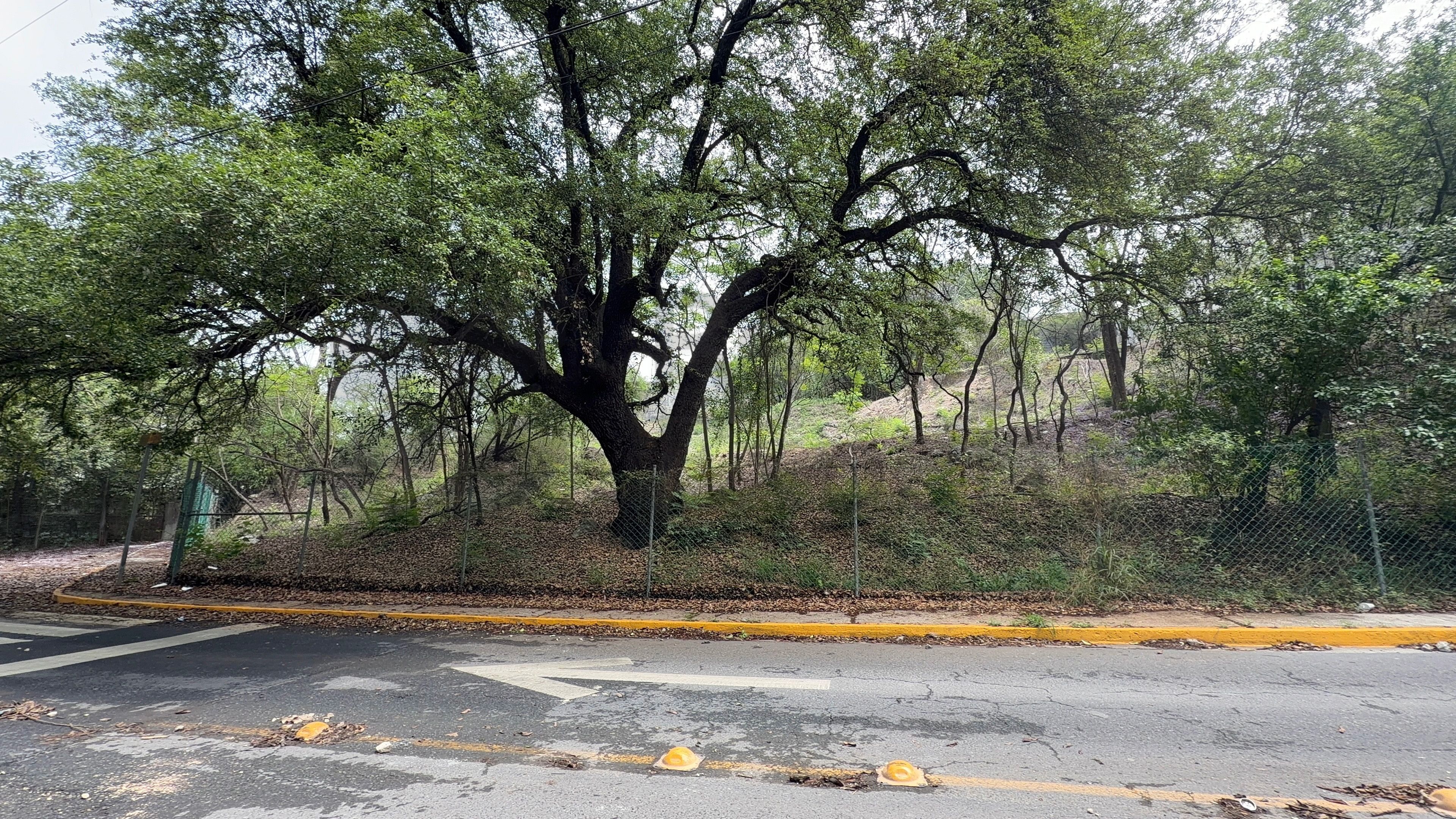 Terreno en Venta en Jardines Coloniales