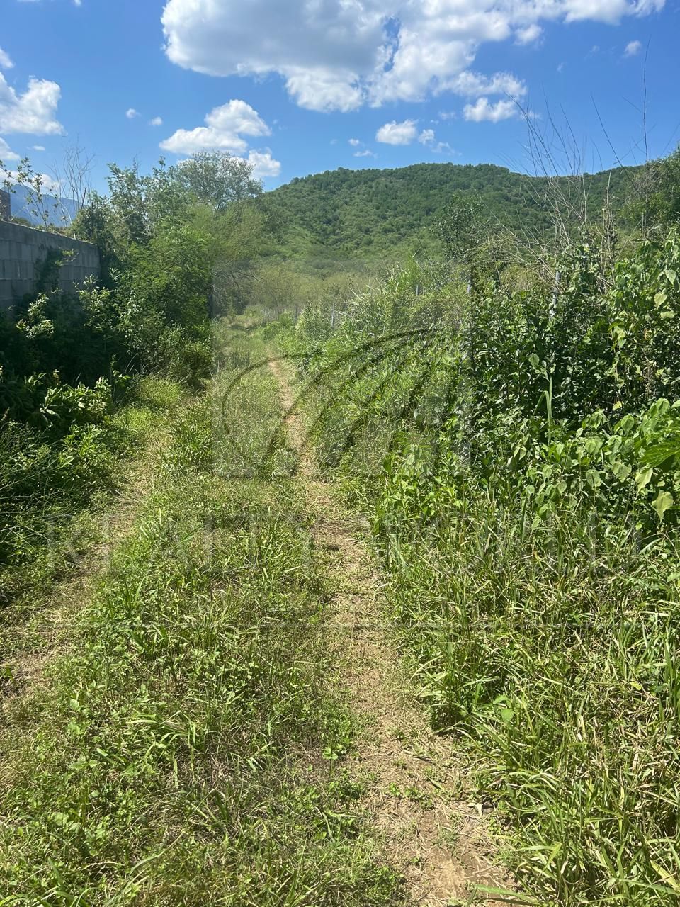 Terreno en Venta en Valle Hidalgo (La Cotorra)