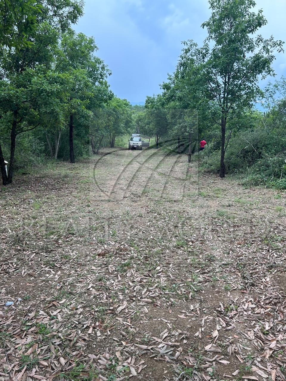 Terreno en Venta en Los Laureles