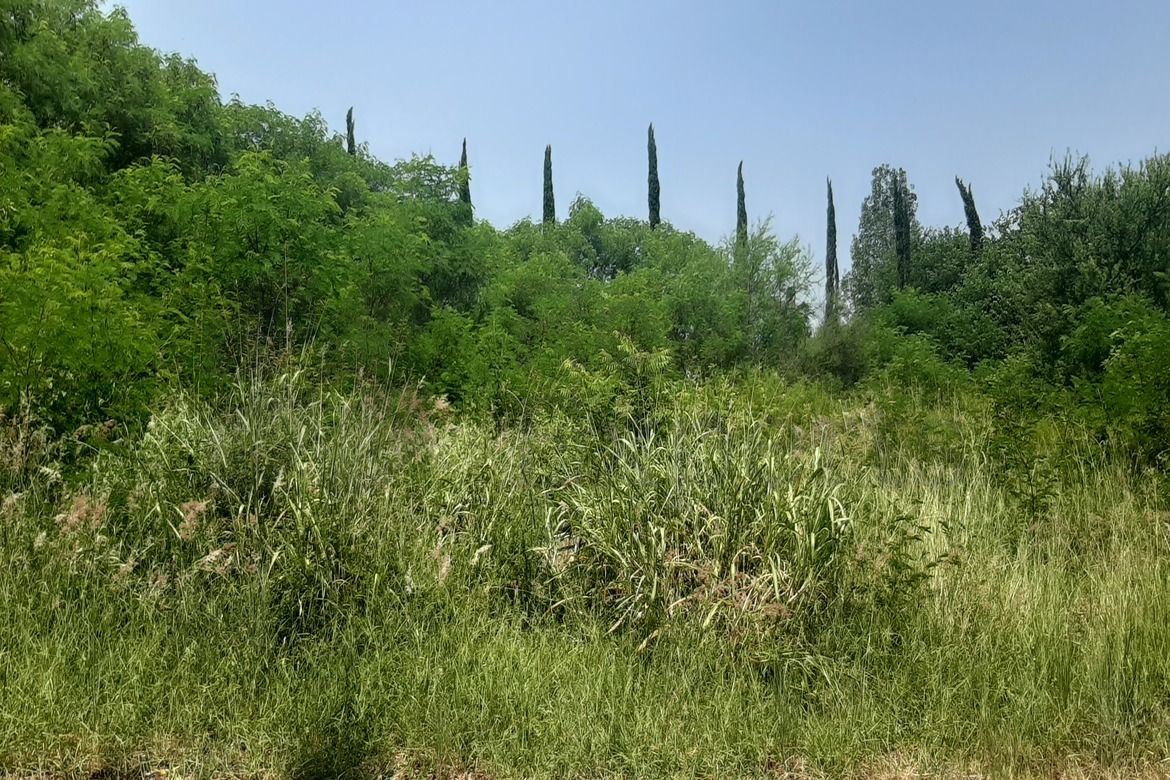 Terreno en Venta en Cadereyta Jiménez Centro