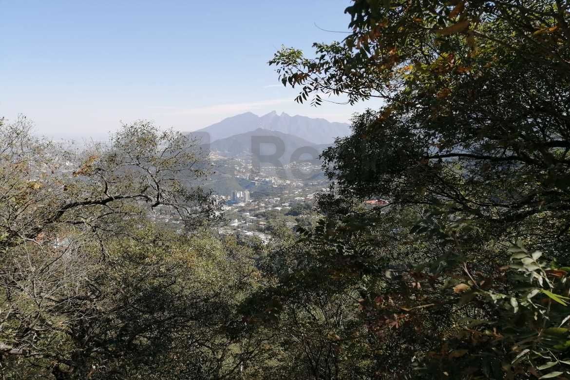 Terreno en Venta en Bosques de San Ángel Sector Palmillas