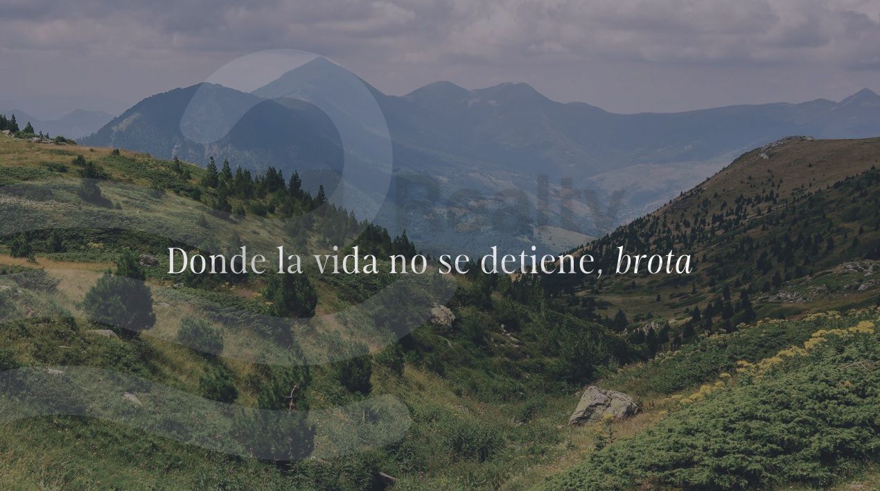 Terreno en Venta en Rios del Vergel