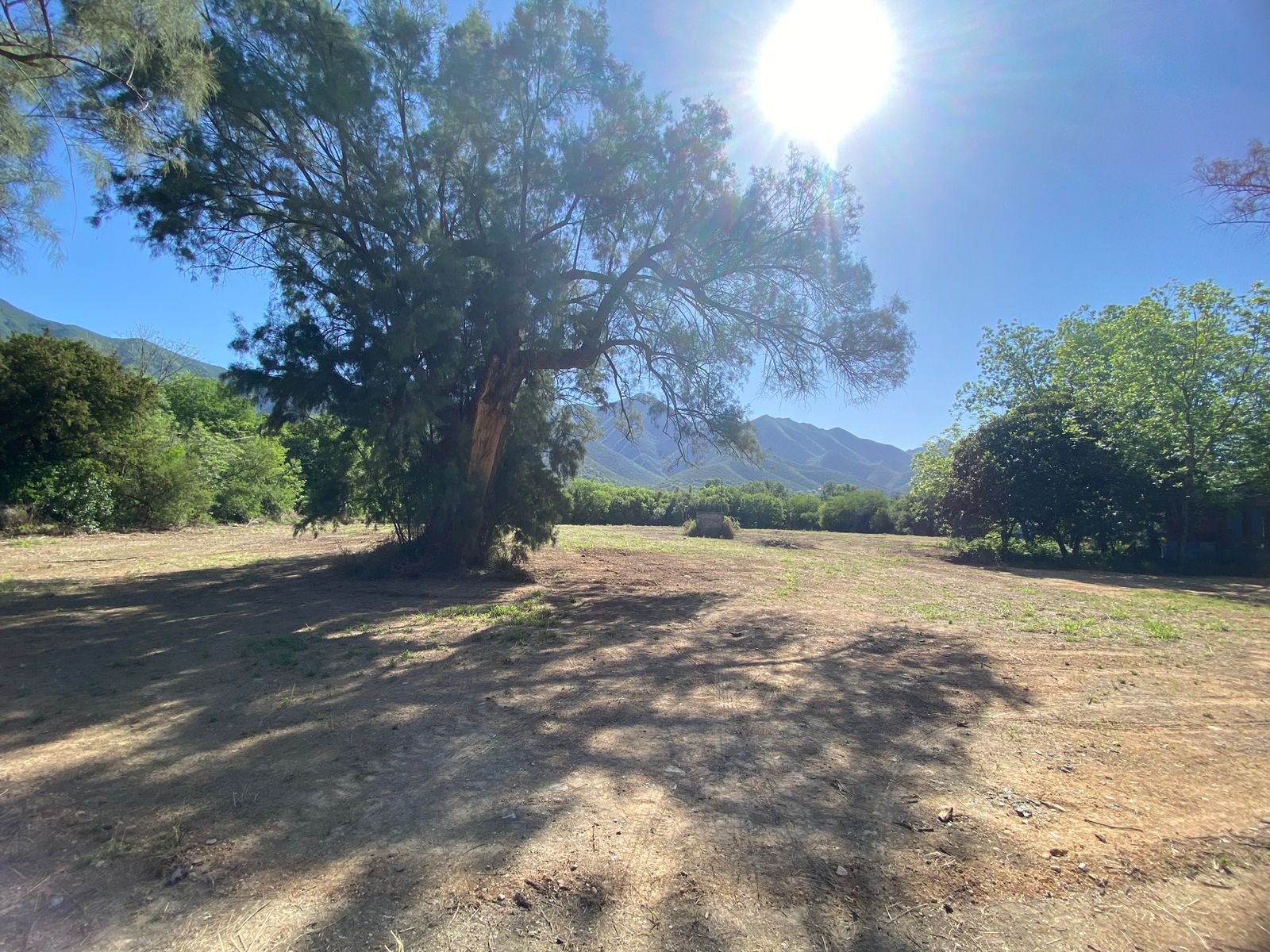 Terreno en Venta en Los Rodríguez