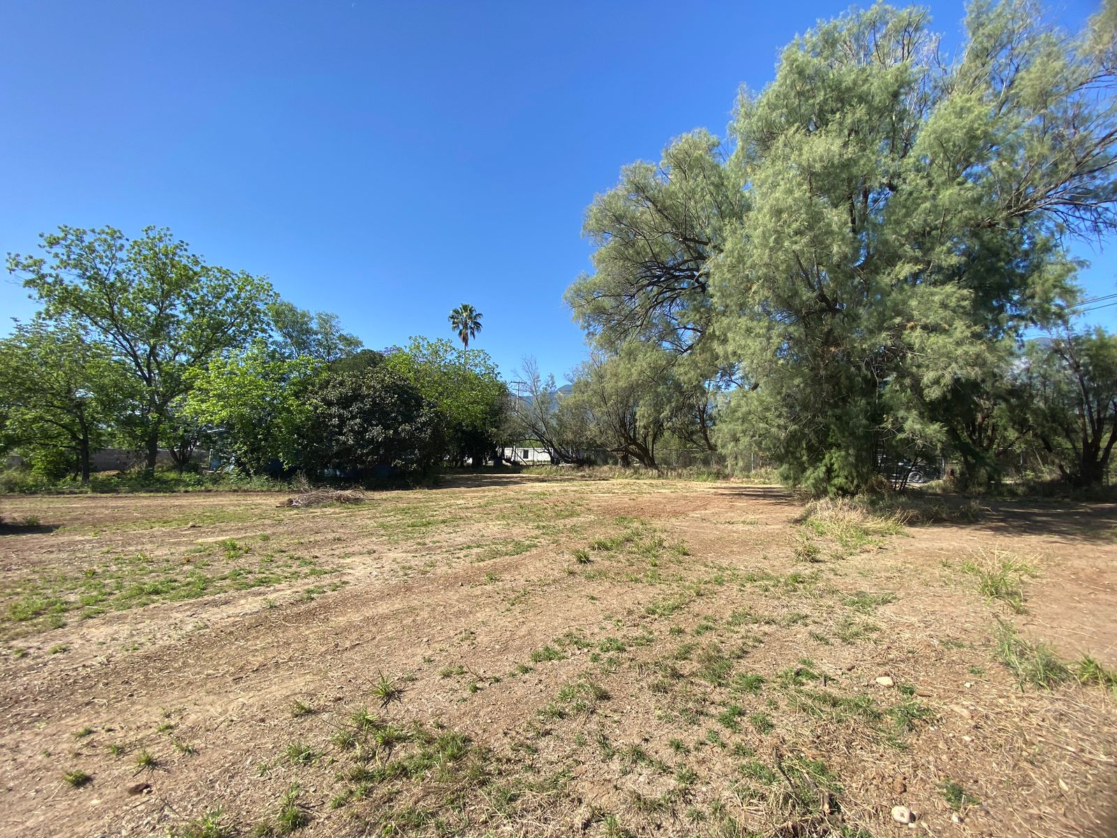 Terreno en Venta en Los Rodríguez