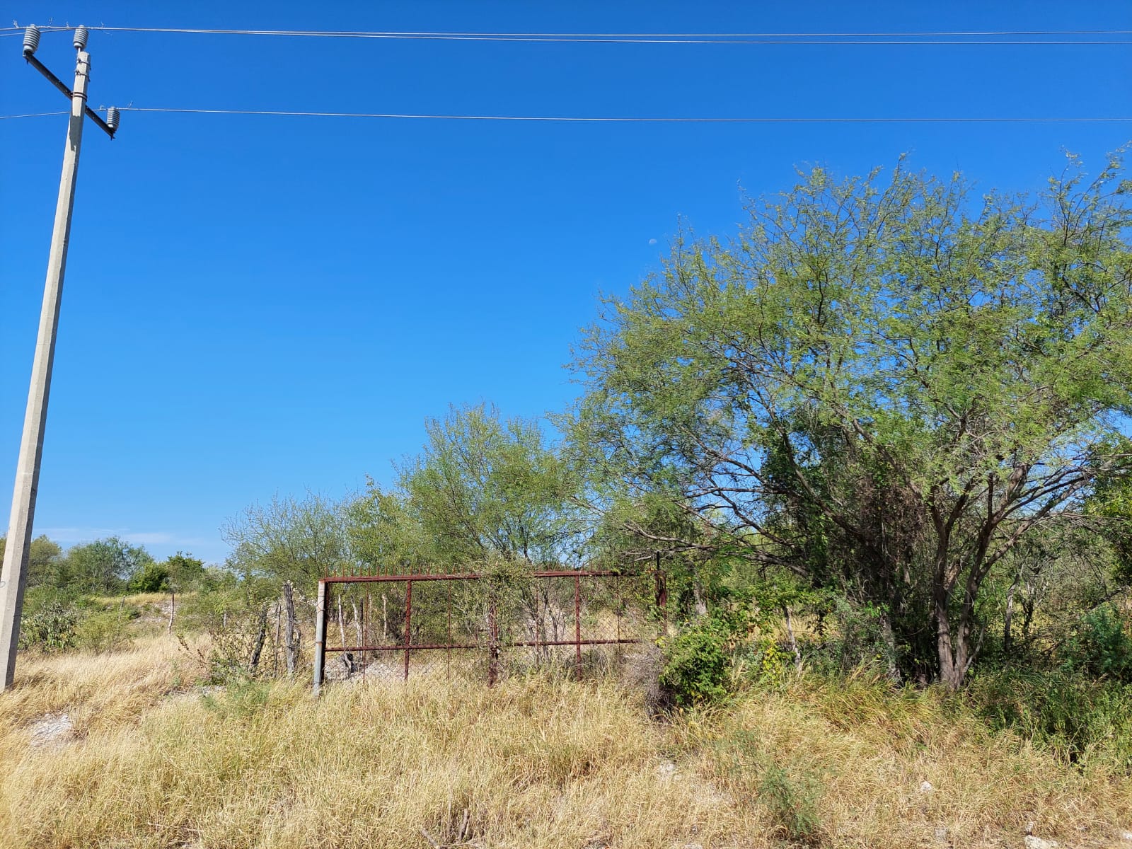 Terreno en Venta en Doctor González