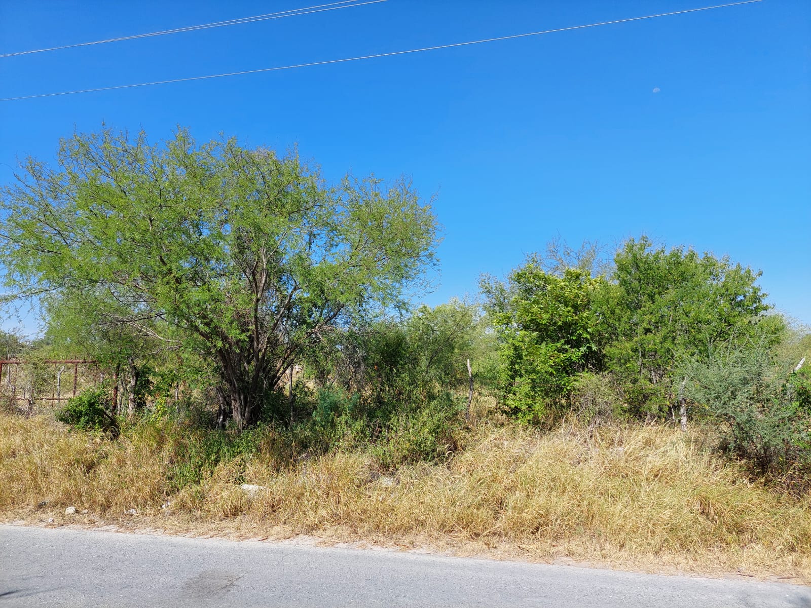 Terreno en Venta en Doctor González