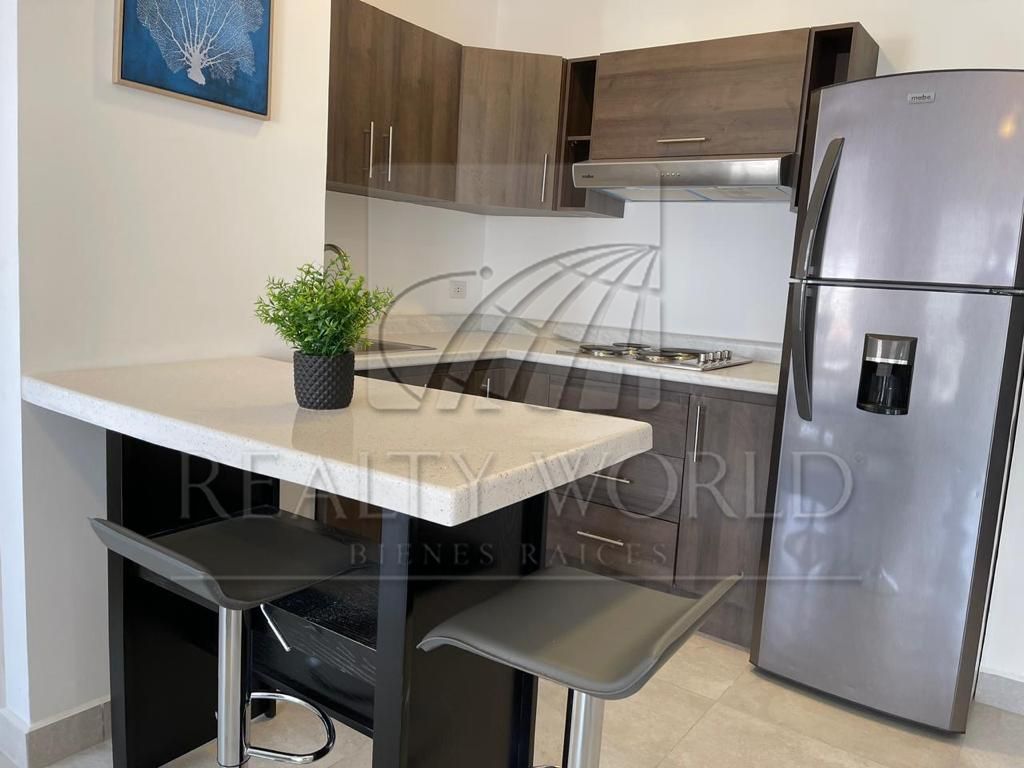 Realty World México Departamento en Renta en Monterrey Centro