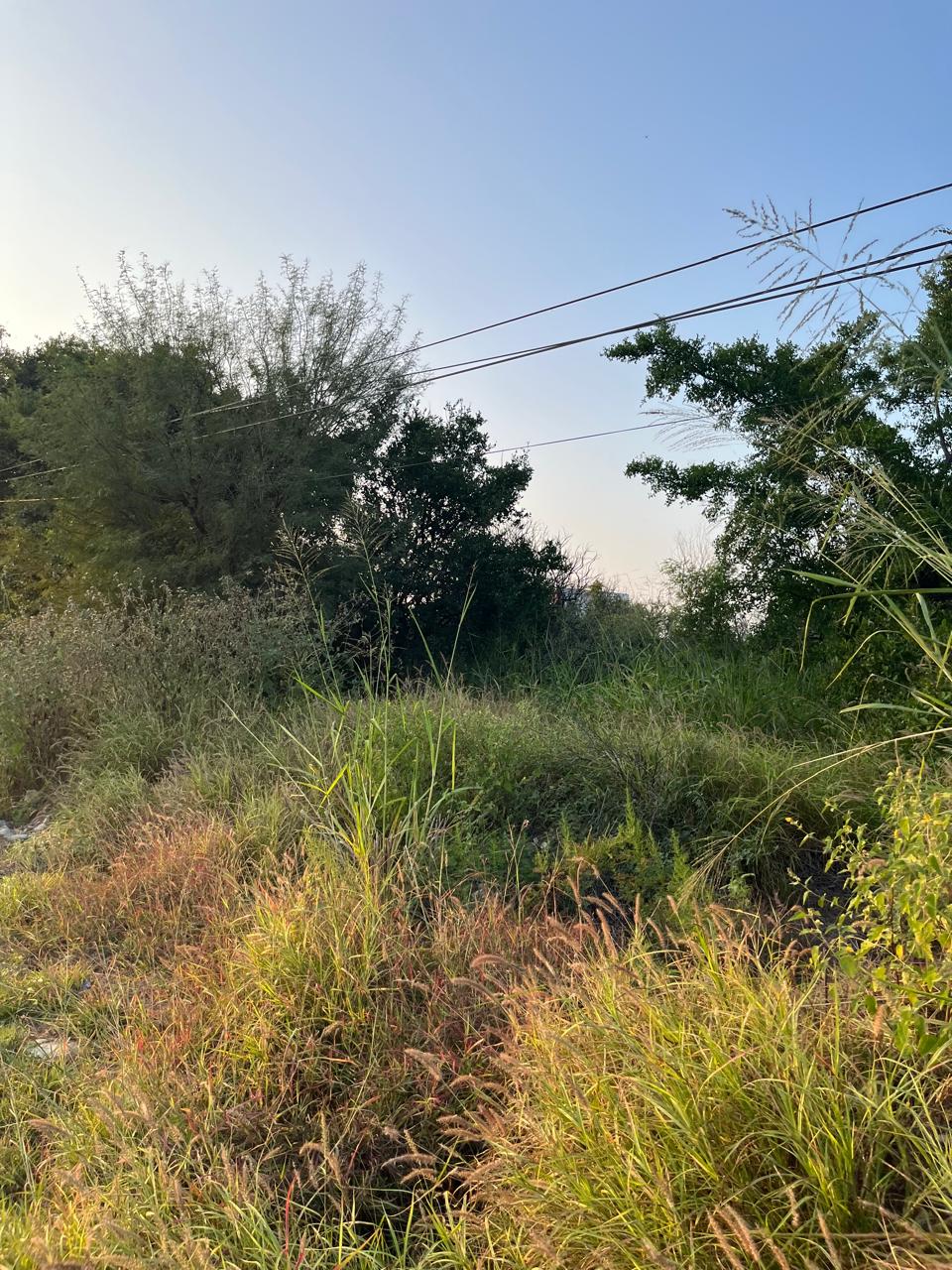 Terreno en Venta en Hualahuises Centro