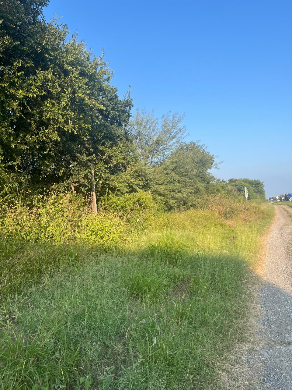 Terreno en Venta en Hualahuises Centro