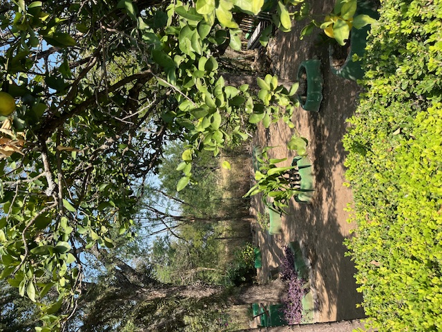 Quinta en Venta en Palmitos (Hacienda Palmitos)