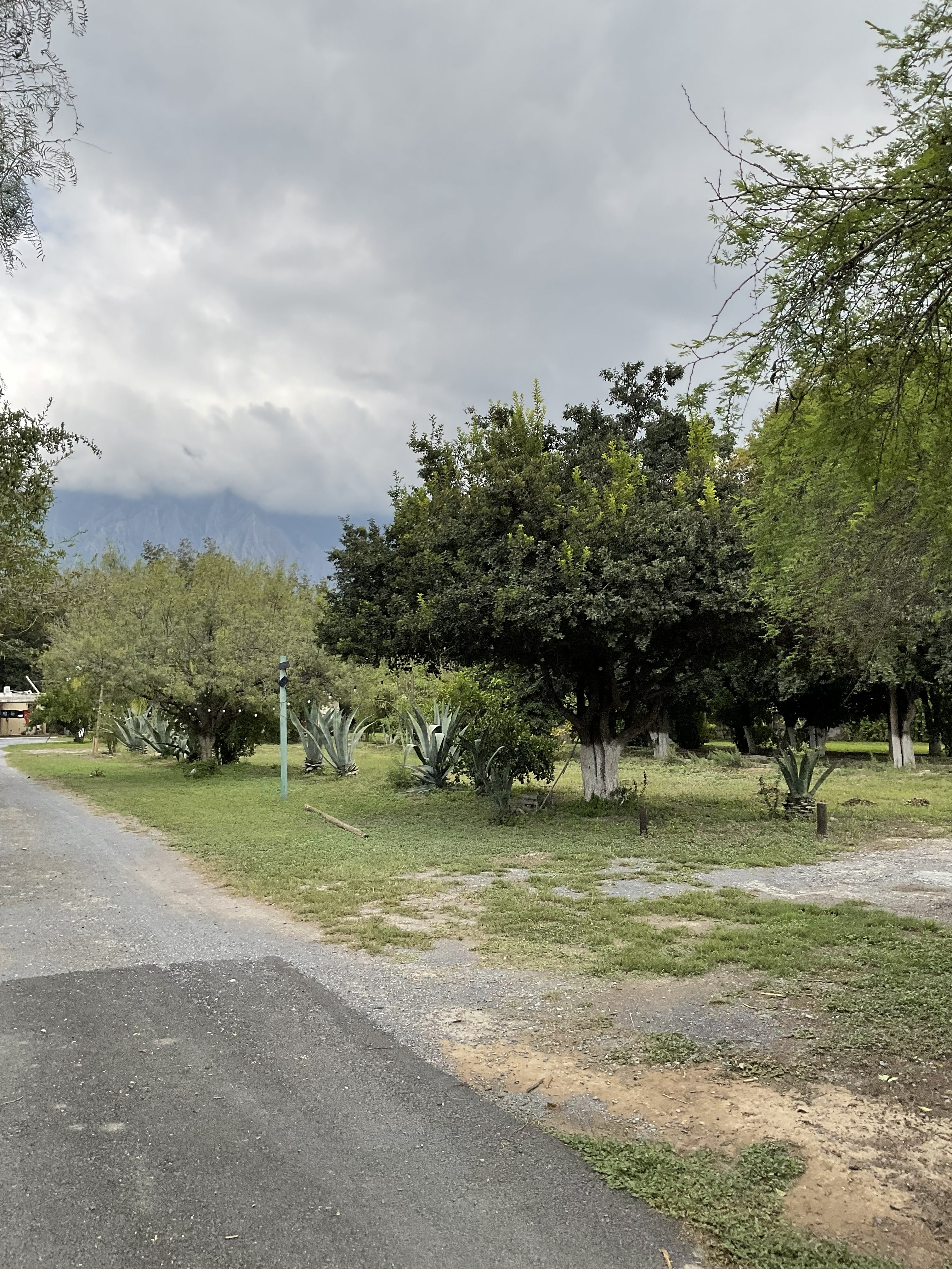 Terreno en Venta en Cabecera Municipal