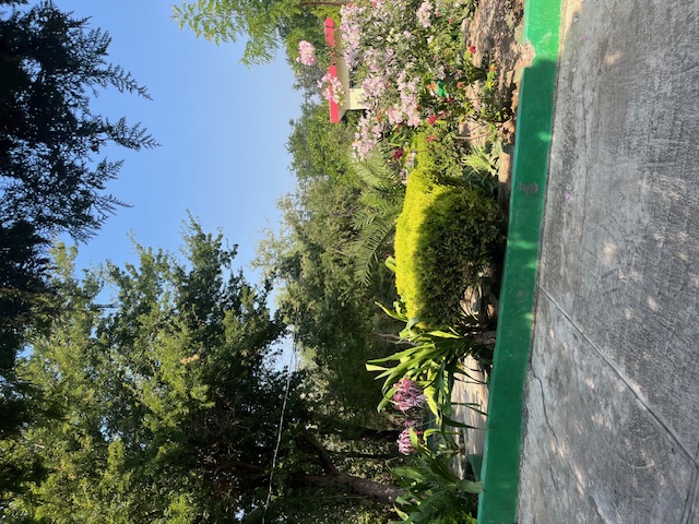 Quinta en Venta en Palmitos (Hacienda Palmitos)