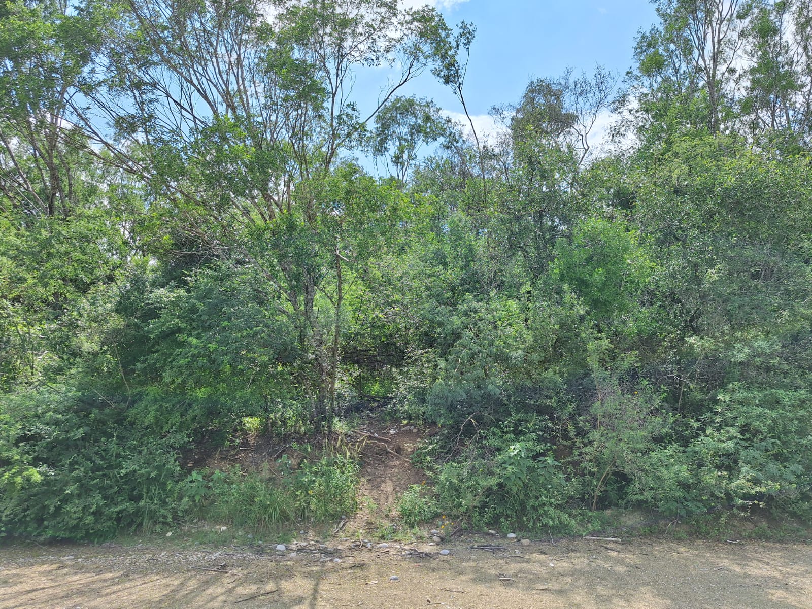 Terreno en Venta en Los Sabinos