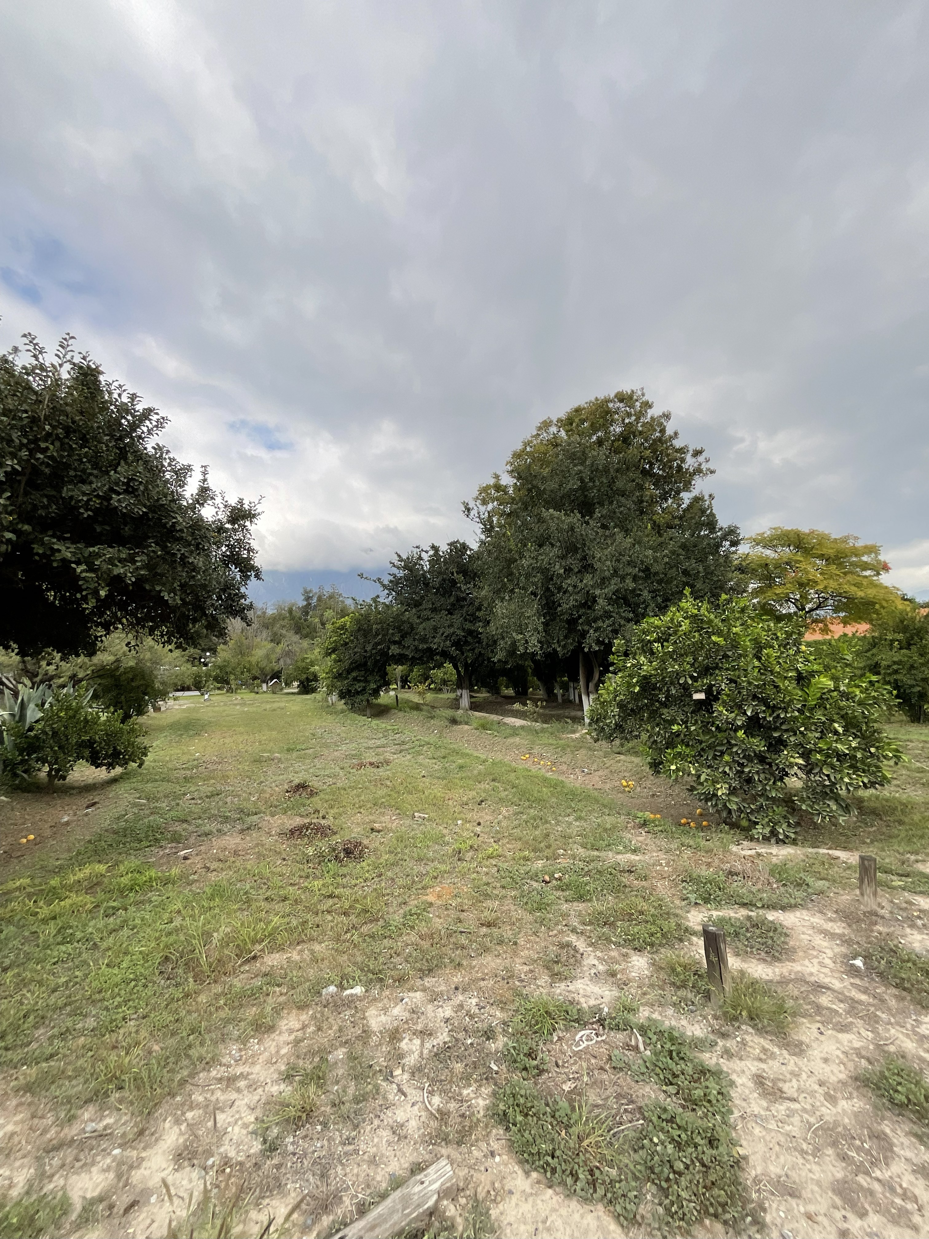 Terreno en Venta en Cabecera Municipal