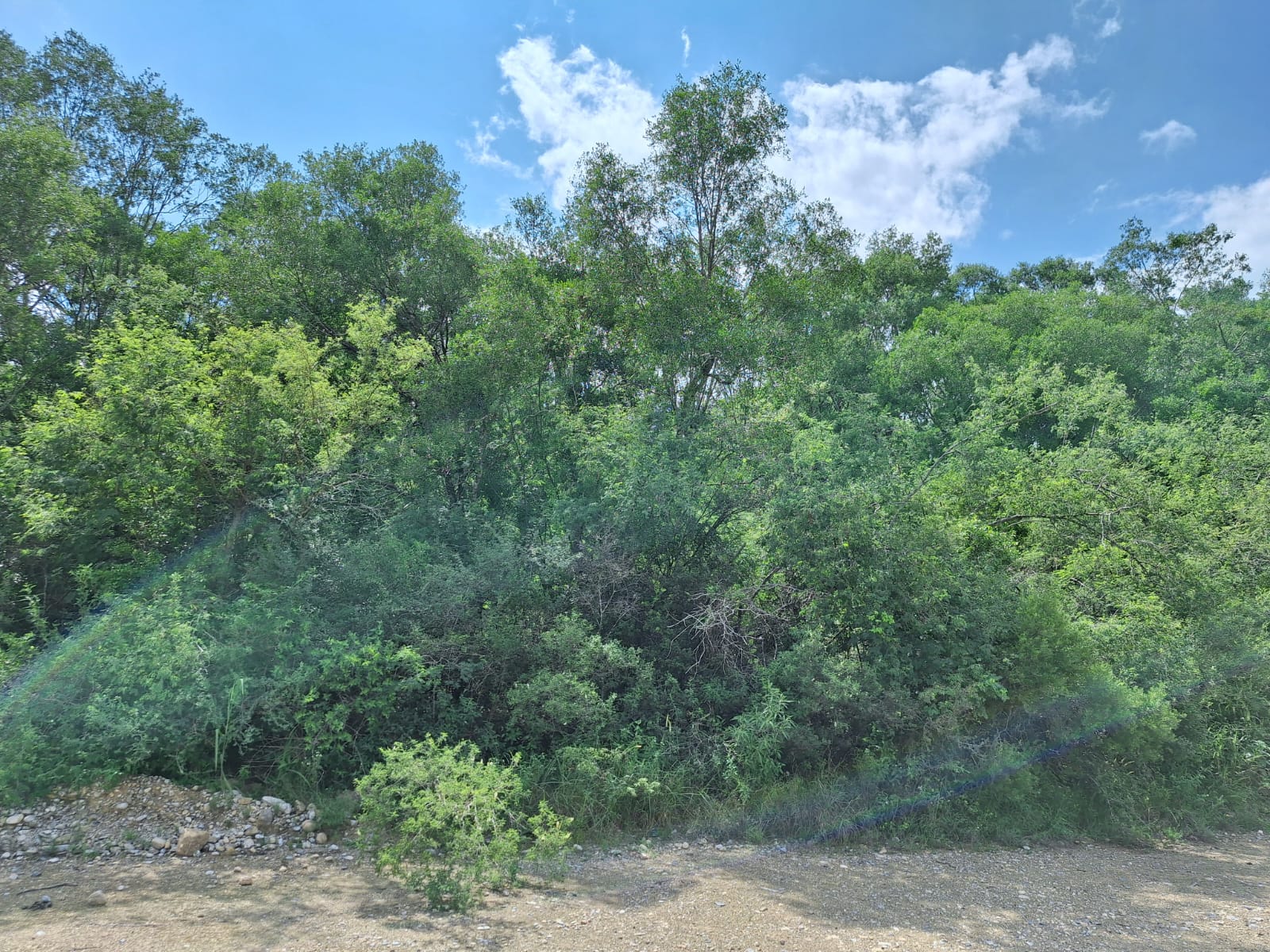 Terreno en Venta en Los Sabinos