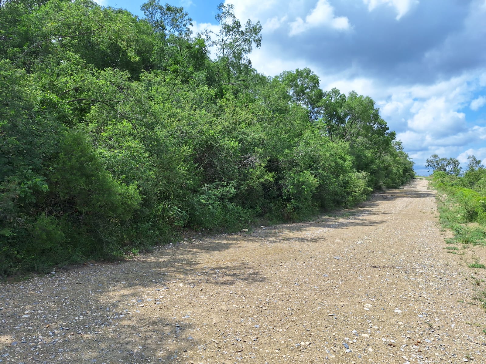 Terreno en Venta en Los Sabinos