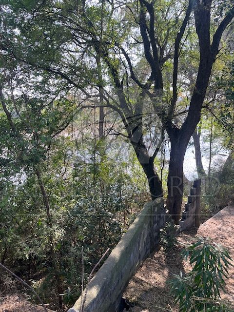 Quinta en Venta en Palmitos (Hacienda Palmitos)